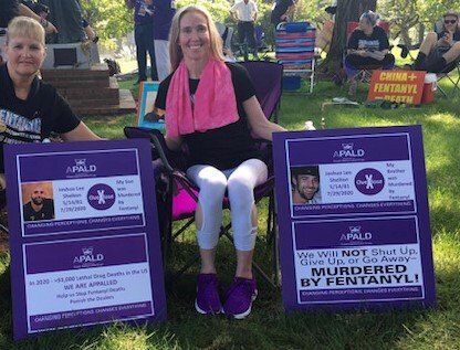 Image of APALD EXAMPLE banners with logo and  msgs and pics